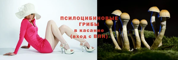 не бодяженный Карпинск
