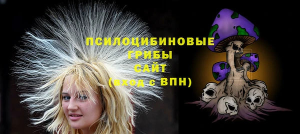 не бодяженный Карпинск