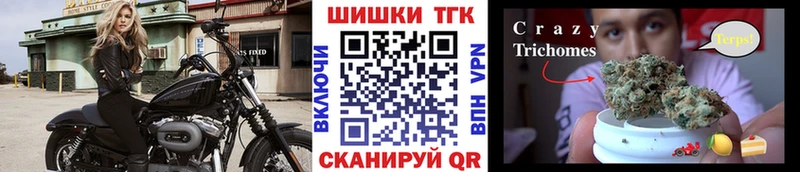 Купить закладки  Зима  Канабис White Widow 